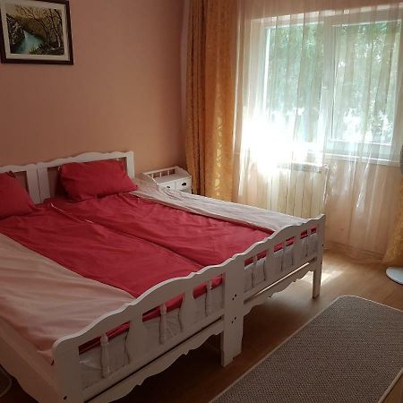 Apartament Aura Διαμέρισμα Oradea Εξωτερικό φωτογραφία